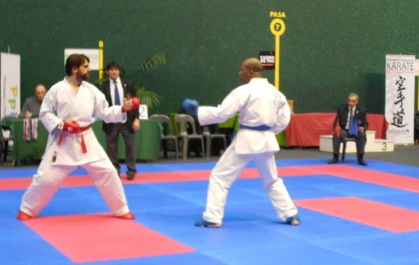 2013:      23-24 février,   Compétition Combat Enfant et Adulte à Pau