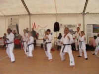 2013:      7 sept,  FORUM de la ville de Cadaujac