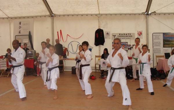 2013:      7 sept,  FORUM de la ville de Cadaujac