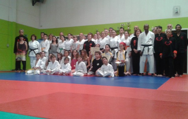 COUPE DU SAMOURAI JUIN 2015