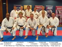 16 & 17 Avril 2016 Stage des experts Japonais