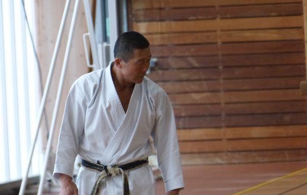 2017-02-11 Stage avec Sensei SATO