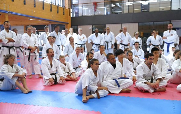 Stage-Experts-Japonais-2017-24 II